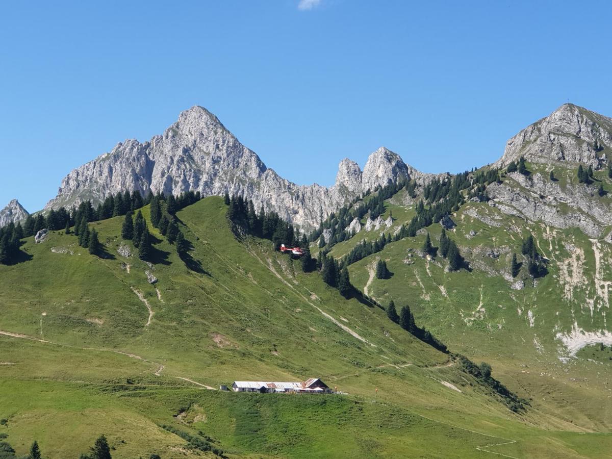 Am Muehlbach - Ferienwohnungen Luttinger Bichlbach Extérieur photo