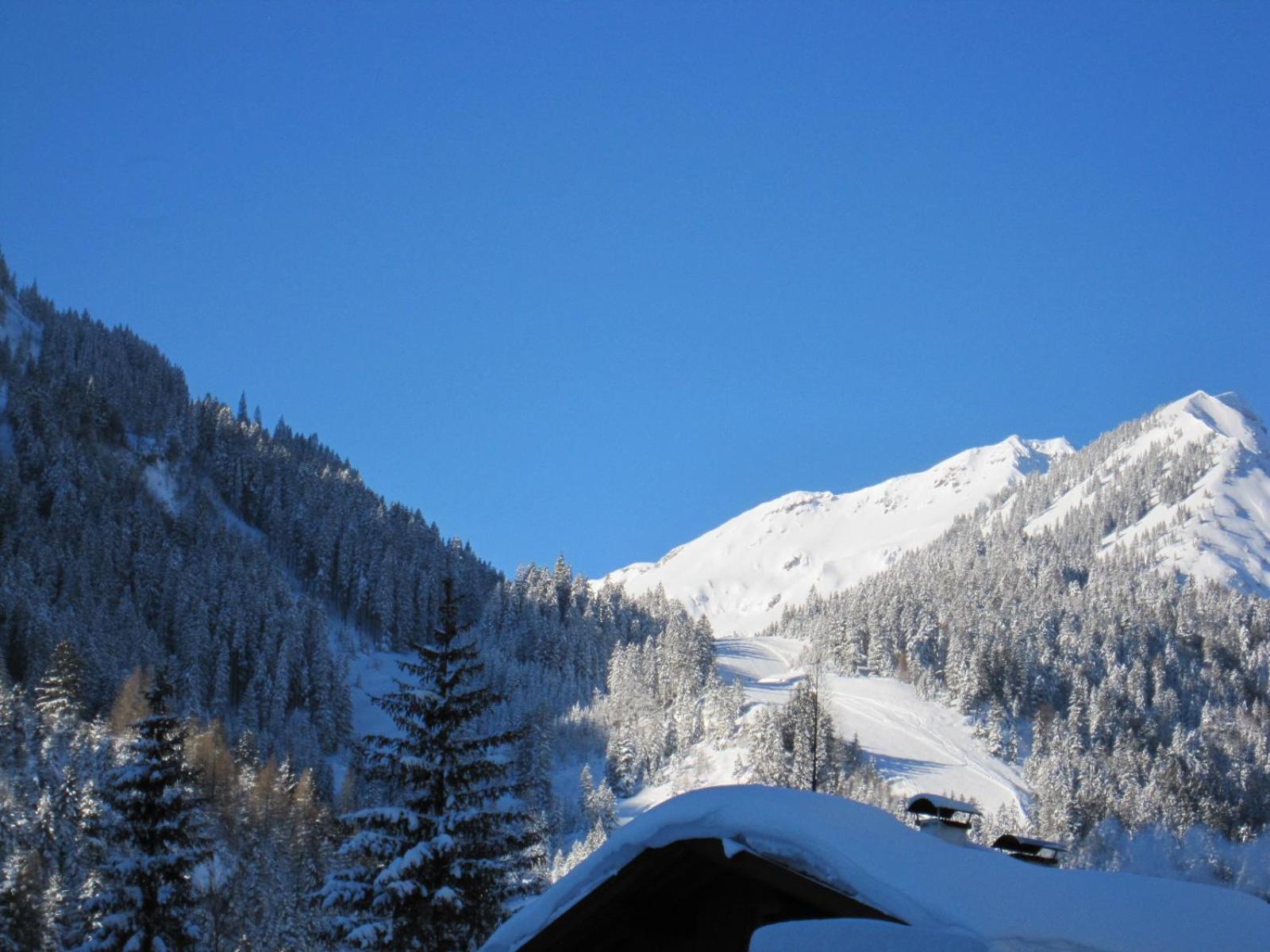 Am Muehlbach - Ferienwohnungen Luttinger Bichlbach Extérieur photo