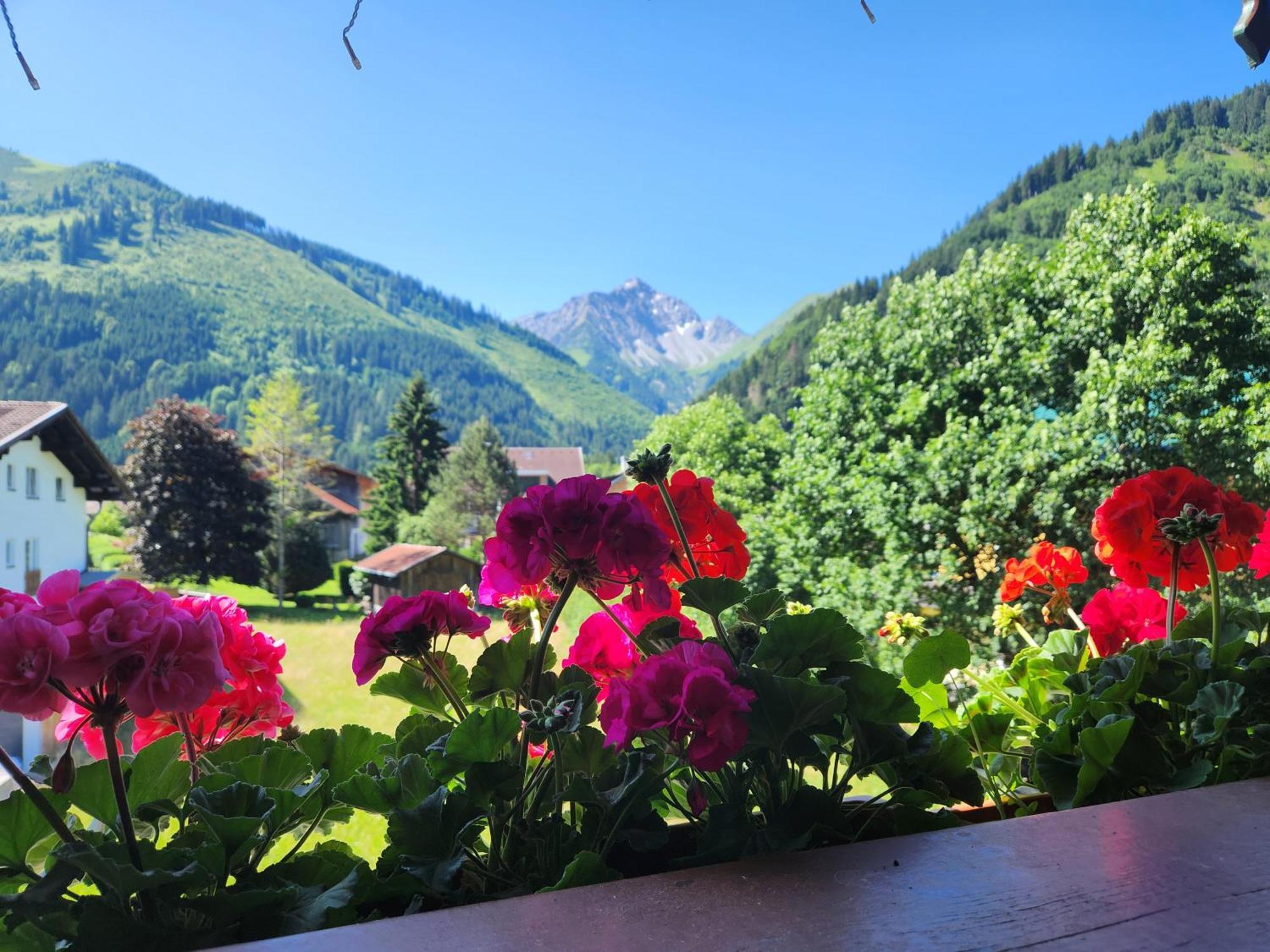 Am Muehlbach - Ferienwohnungen Luttinger Bichlbach Extérieur photo